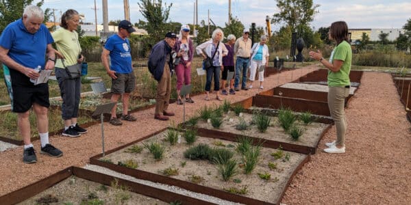 A group of people stands on a garden pathway listening to a woman in a green shirt giving a talk beside several raised plant beds.