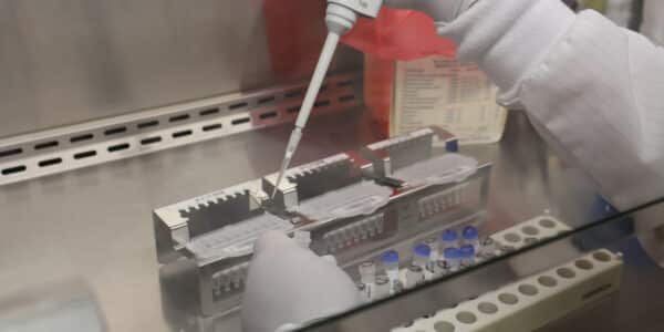 A person wearing gloves uses a pipette to transfer liquid into tubes arranged in a metal rack inside a laboratory setting.