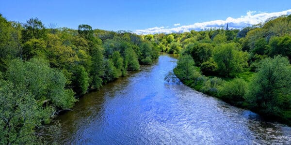 A wide river flows through dense green trees under a clear blue sky with scattered clouds on a sunny day.
