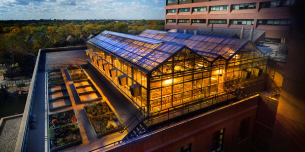 A rooftop greenhouse with glowing lights is attached to a brick building, surrounded by raised planting beds, under a partly cloudy sky.
