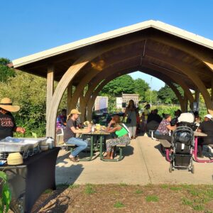 People sit and eat at picnic tables under a wooden pavilion in a park. A person serves food from a table labeled “Vegan Soul.” The scene is bright and sunny with greenery around.