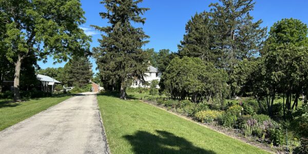 Paved path bordered by grass and trees under a clear blue sky, with houses partially visible in the background.